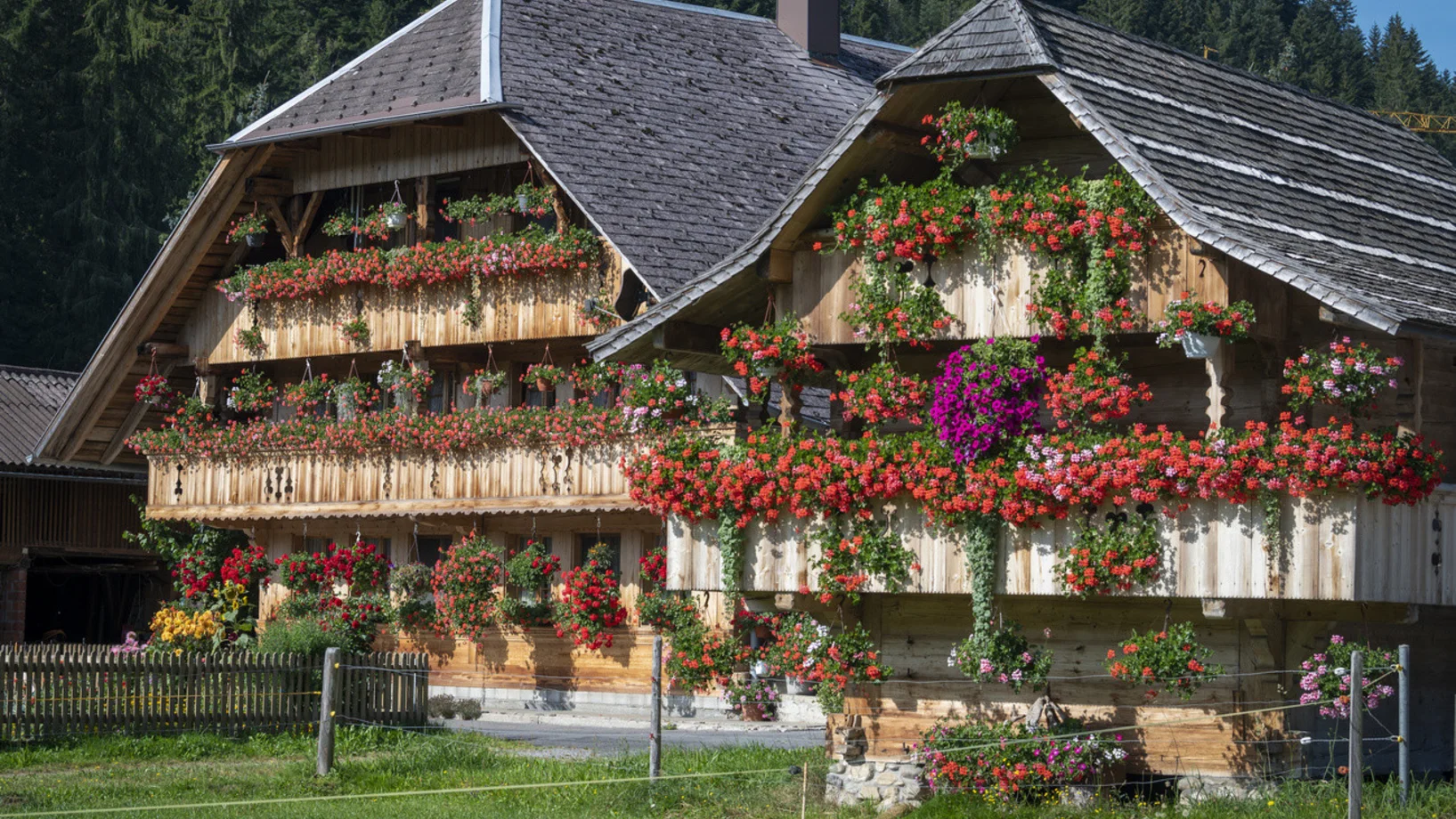 Emmental
