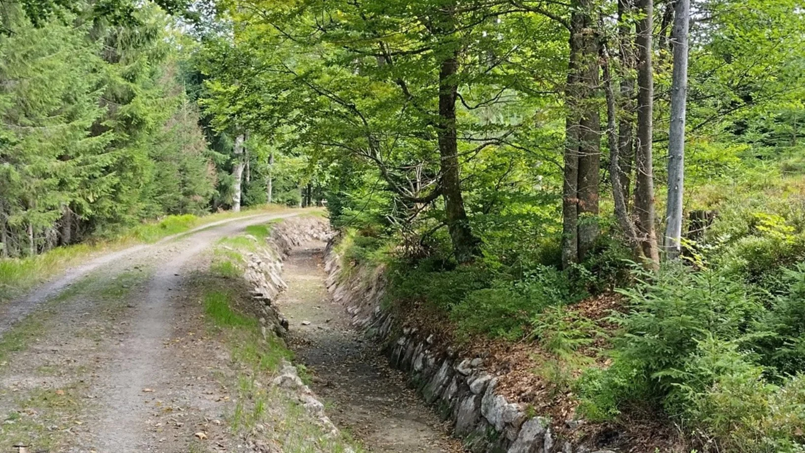 Schwarzenbergischer Schwemmkanal