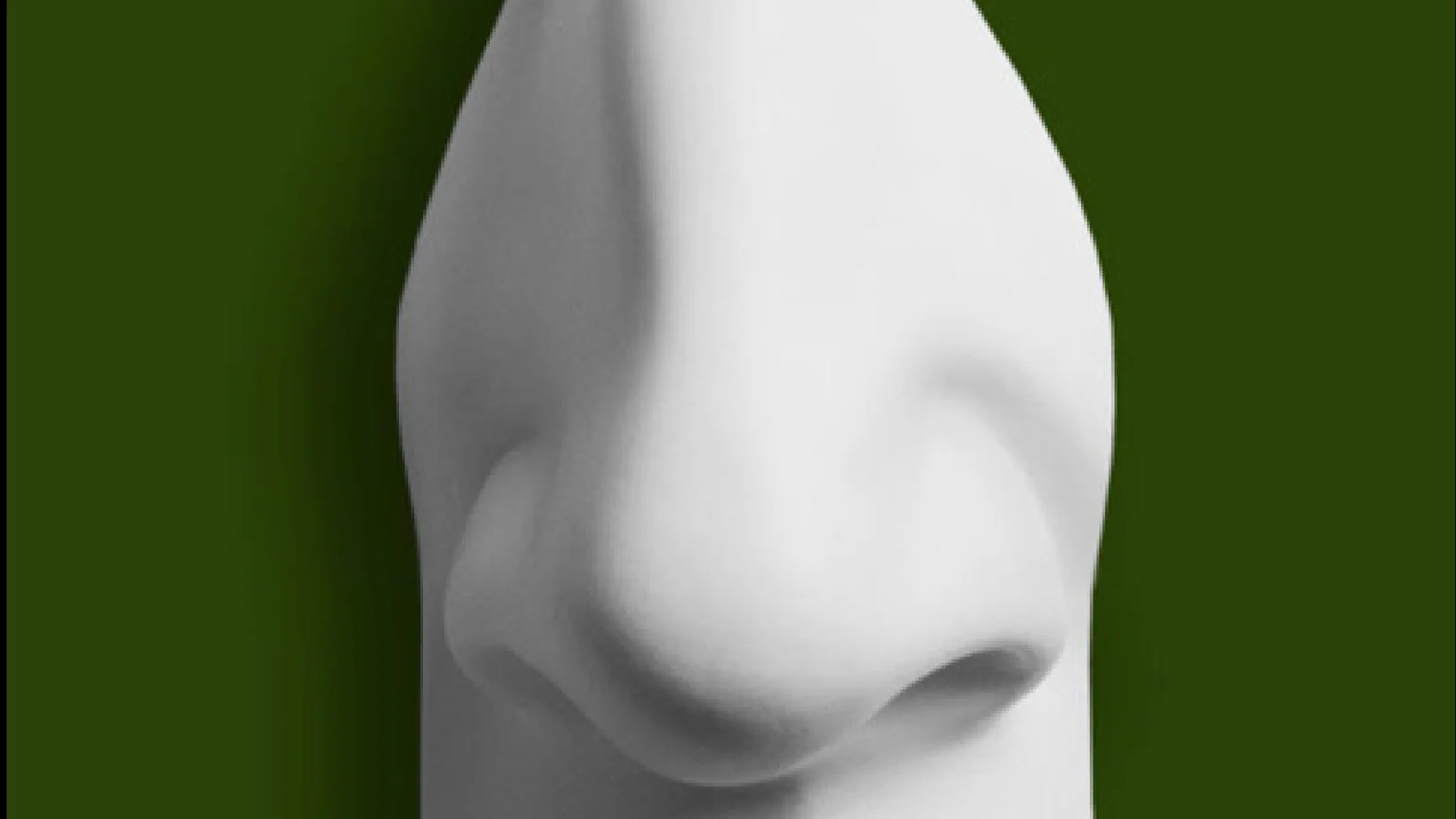 Nase