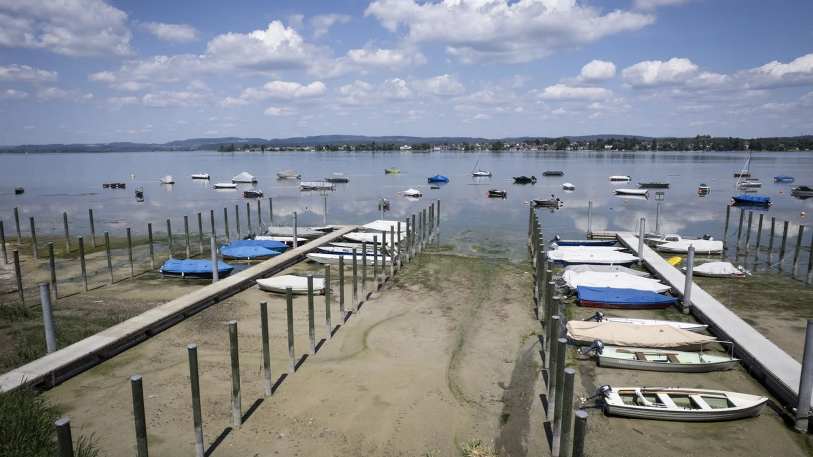 Bodensee, Schiffe