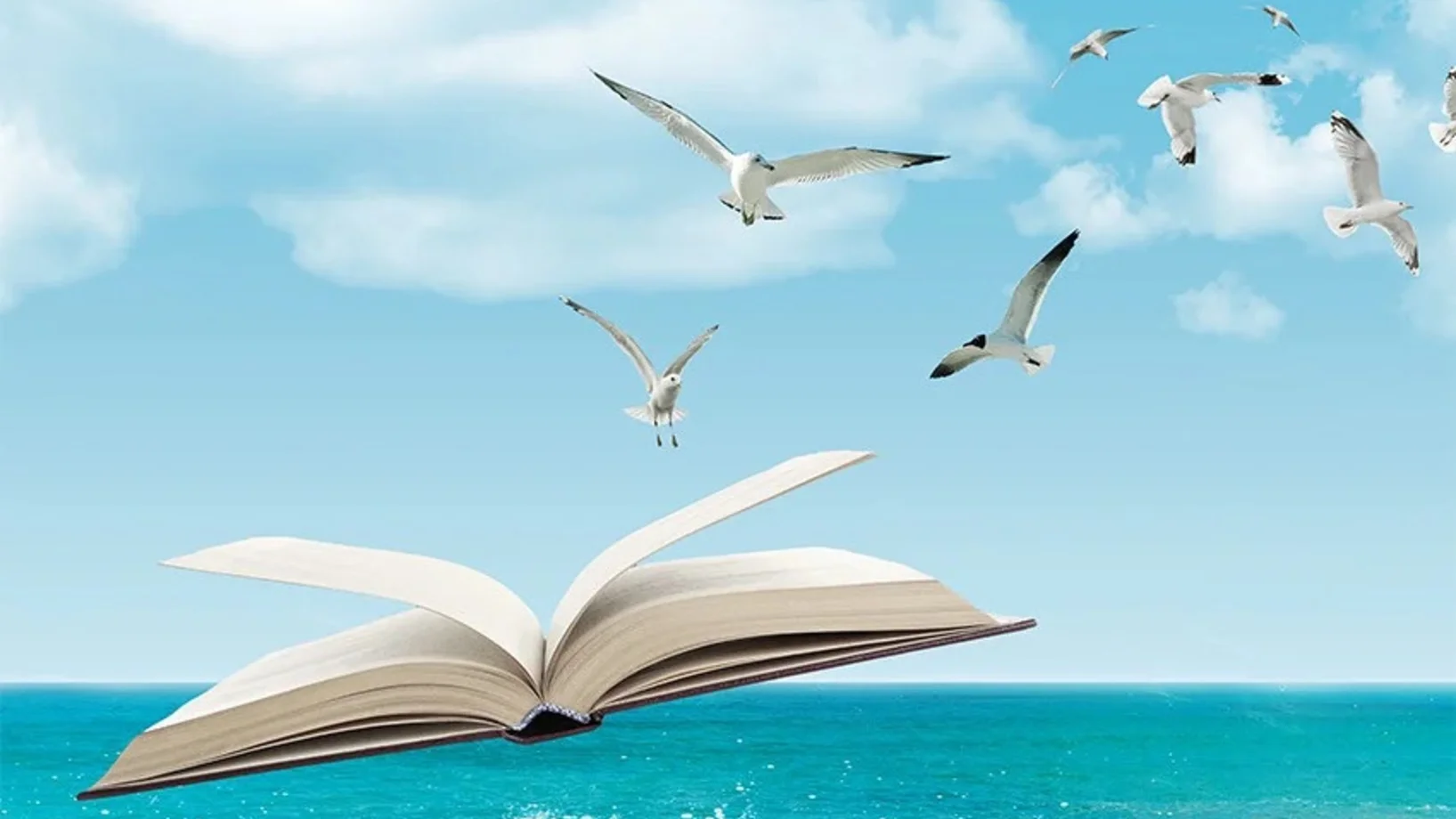 Sommerbücher