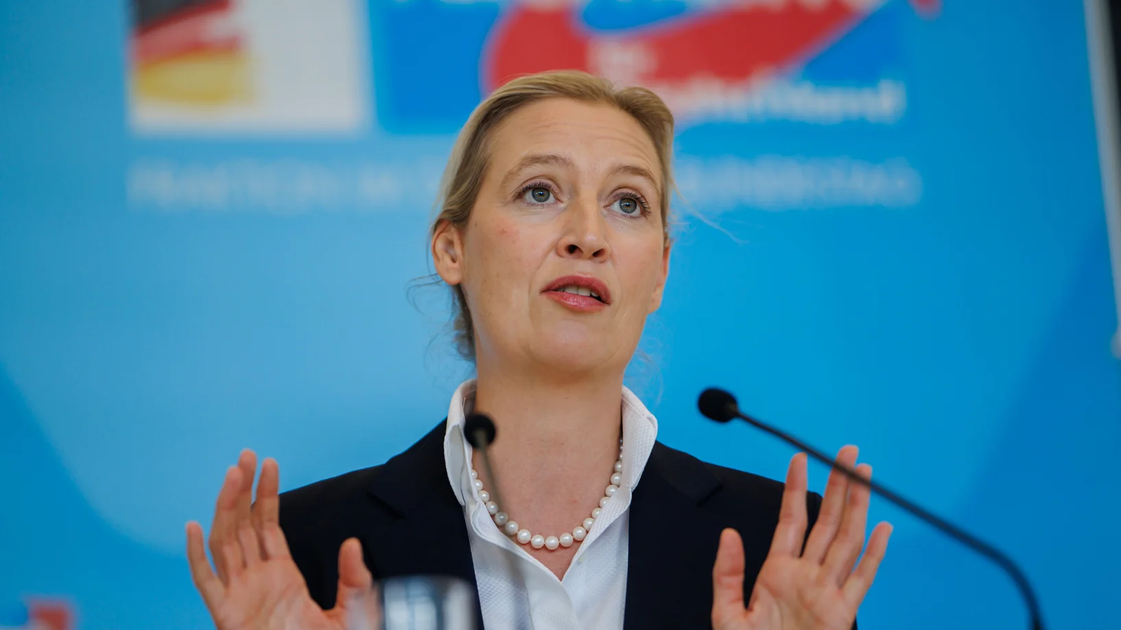 Alice Weidel