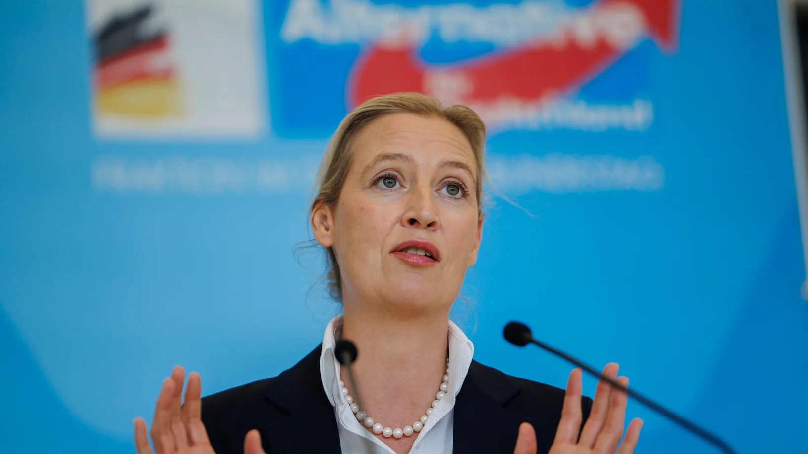 Alice Weidel