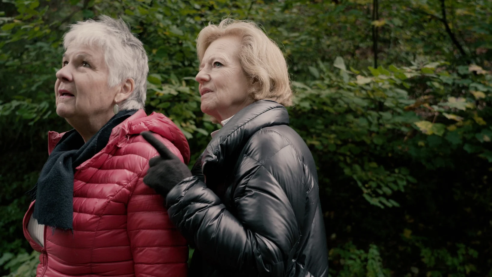 Dokumentarfilm Alzheimer