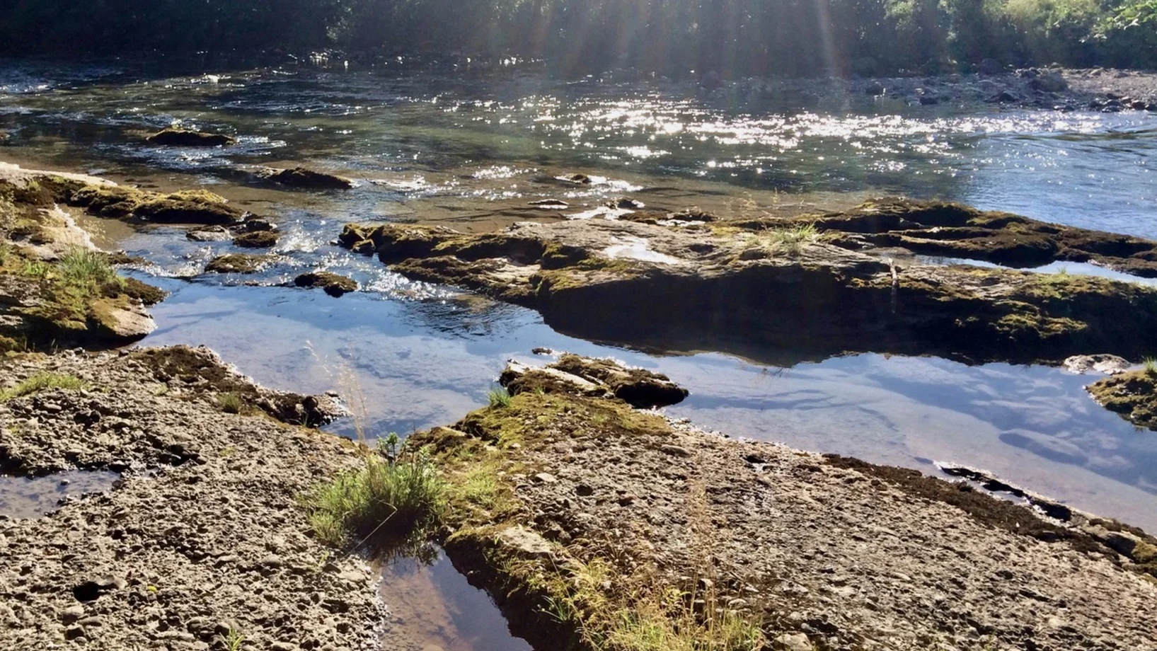 Wohltuende Kühle an einem heissen Tag: die Thur bei Neu St. Johann im Toggenburg, Kanton St. Gallen.