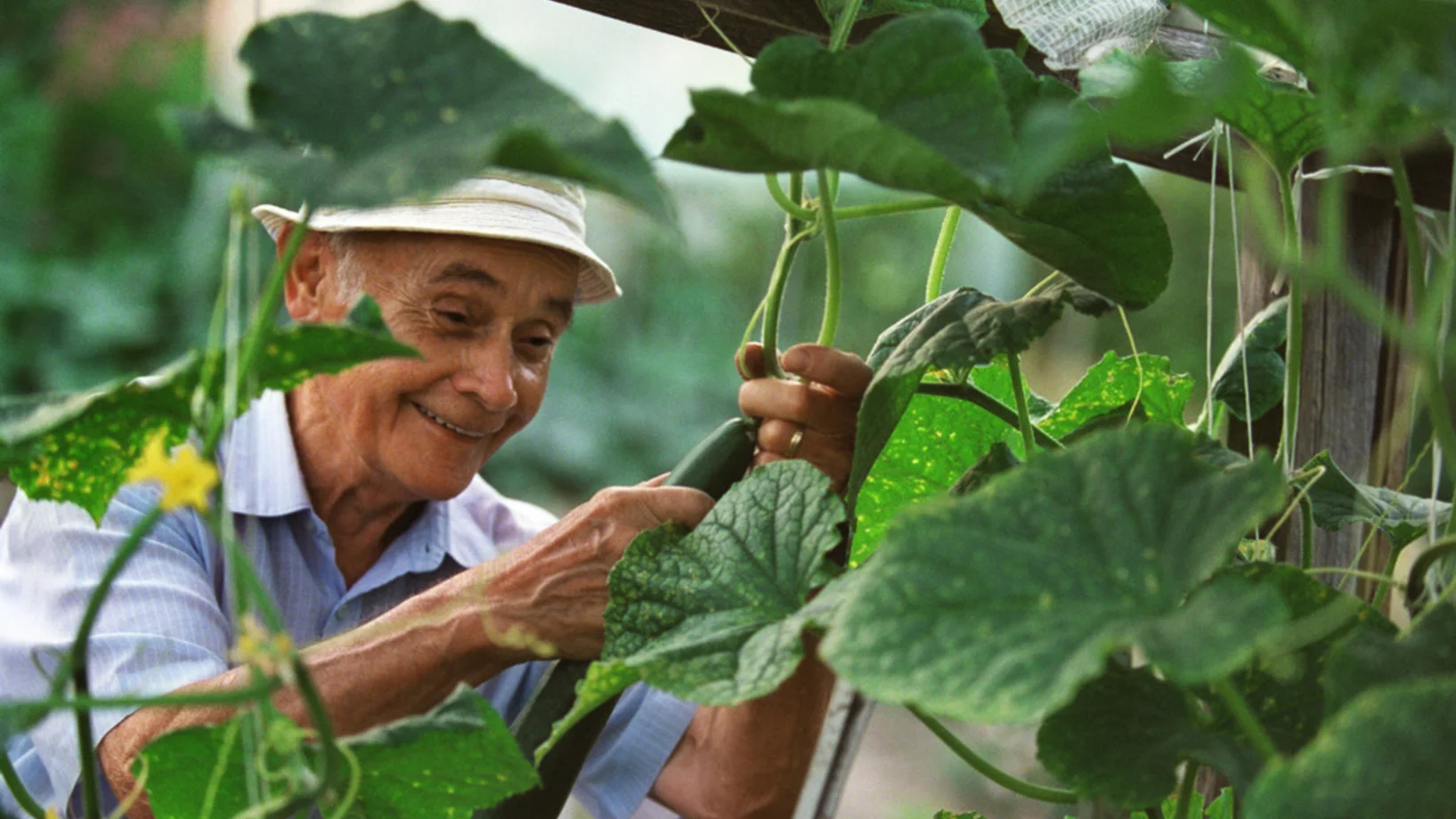 Foto: KEYSTONE/Gaetan Bally