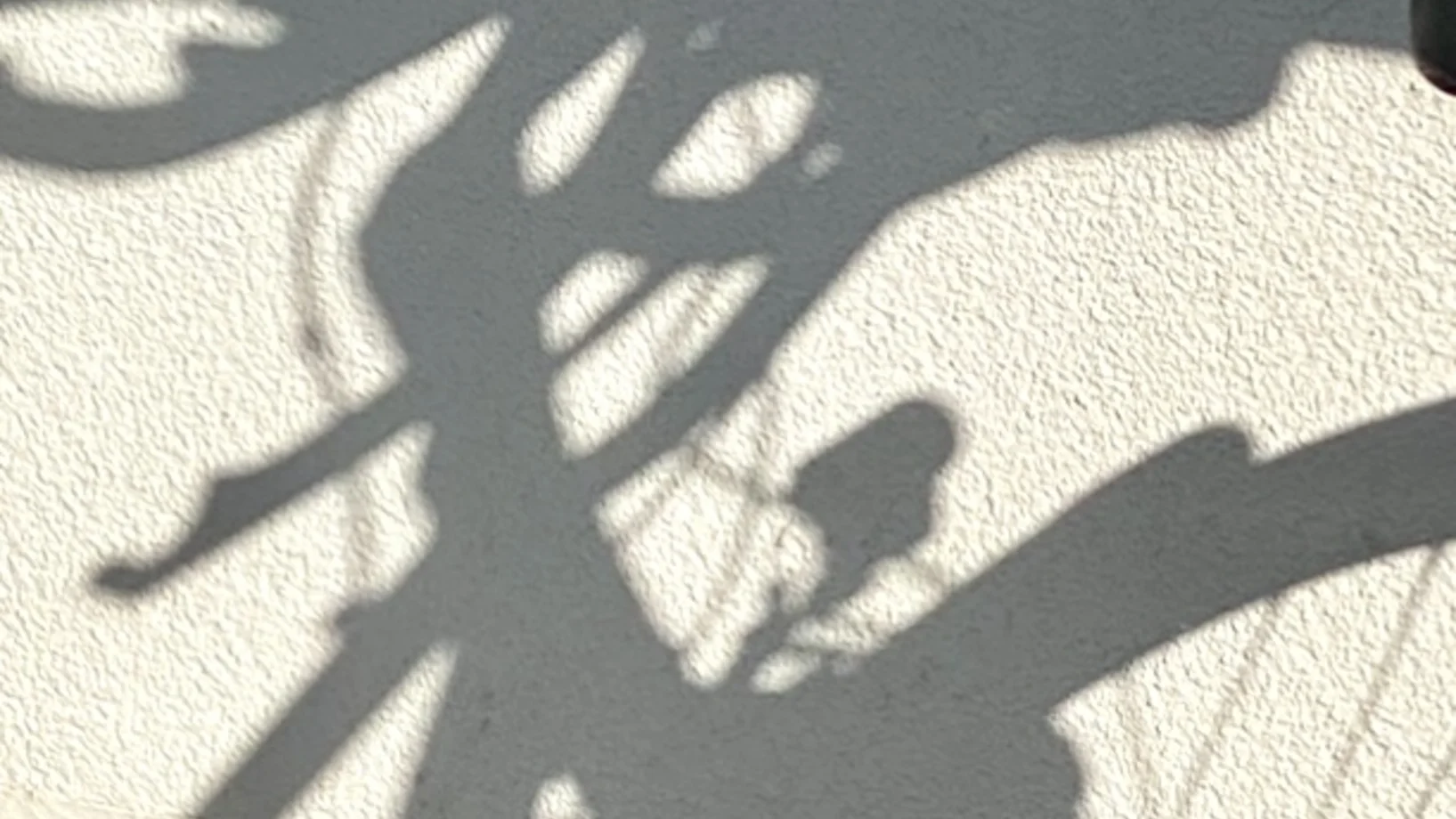 Fotos: Norbert Bruggmann
