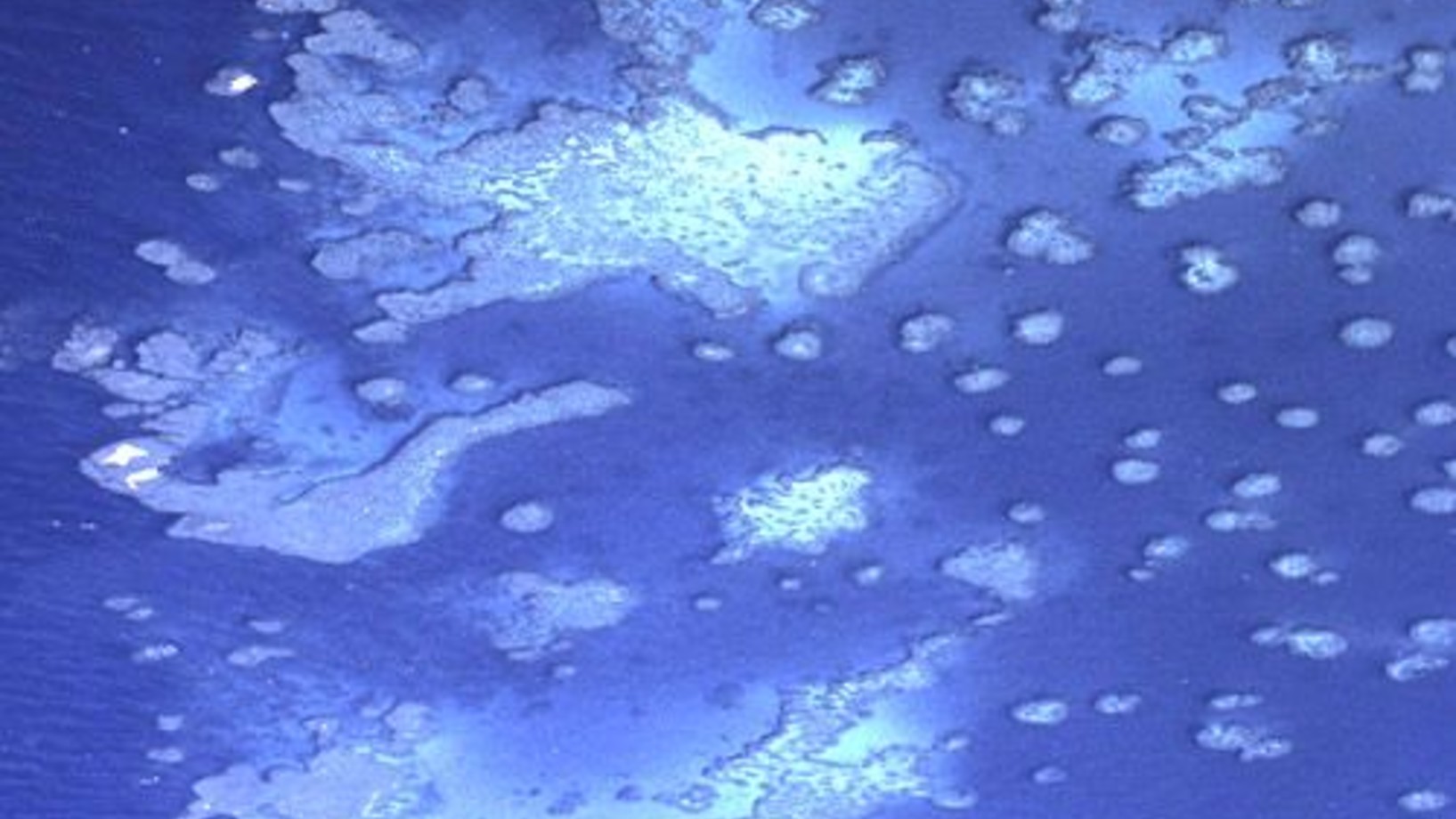 Great Barrier Reef - Ein Nonplusultra der Natur, Superlative und kein Ende...
Das Grosse Barriereriff, das über 2000 km vom Wendekreis des Steinbocks bis in die Küstengewässer Papua-Neuguineas als Wellenbrecher die australische Nordostküste begleitet, ist weltweit das grösste Korallenriff. Freilich: eine Mauer, ein Wall ohne Breschen ist es nicht. (Das Flugbild zeigt das Riff auf der Breite von Cairns in Queensland.) Vielmehr addieren sich 3400 Einzelriffe zu einem Ganzen, das mehr ist als die Summe seine…