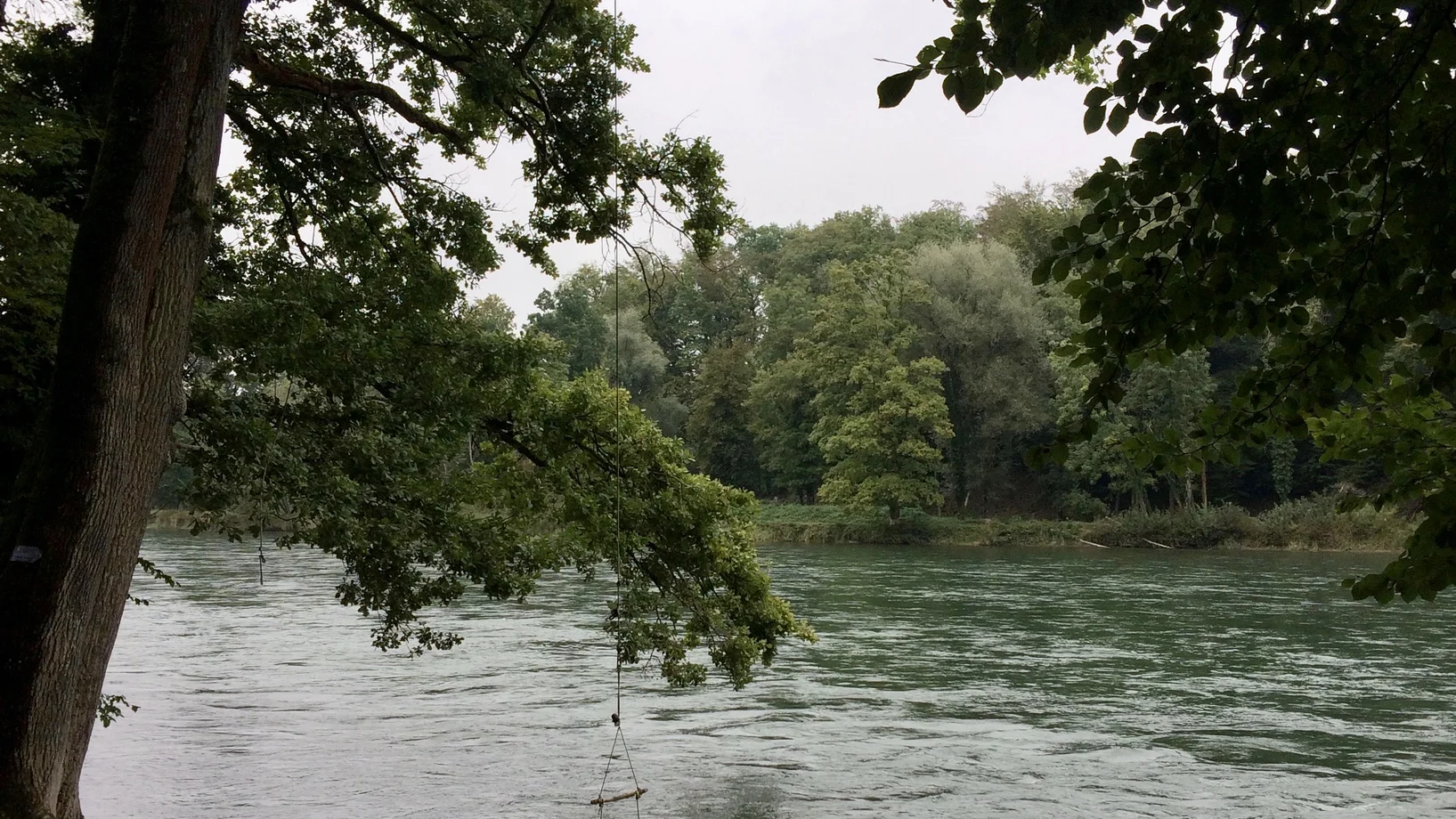 Aare zwischen Wynau und Murgenthal