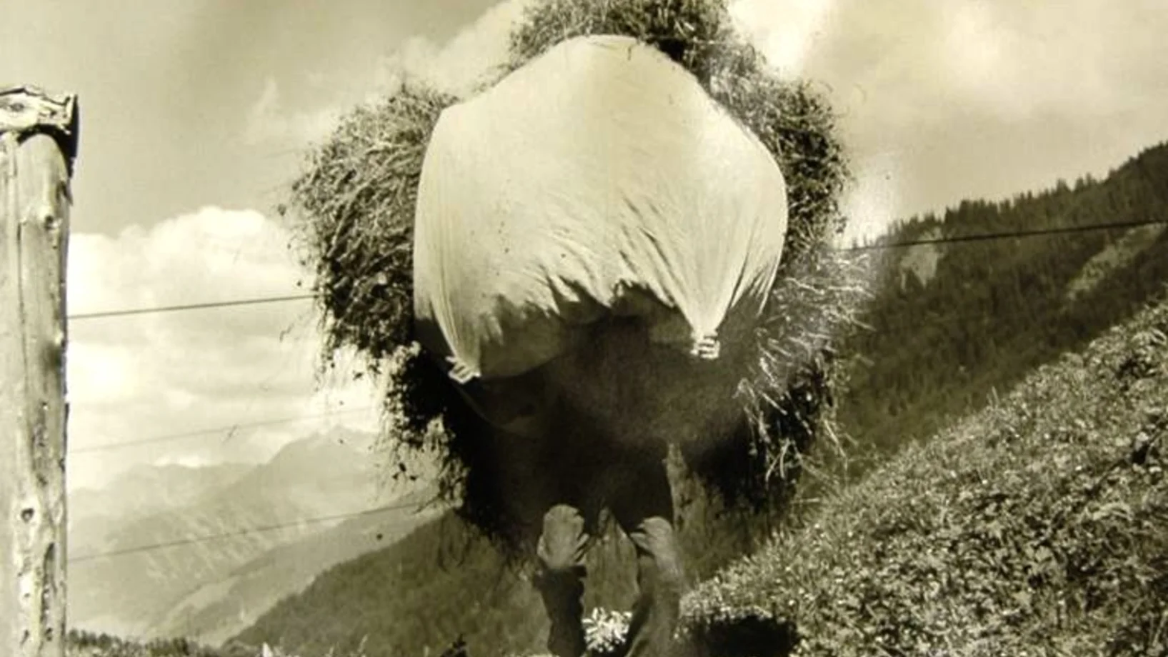 Ernst Brunner, Bauer in Silgin Lumbrein, Fotografie, 1938, Fundaziun Capauliana Chur