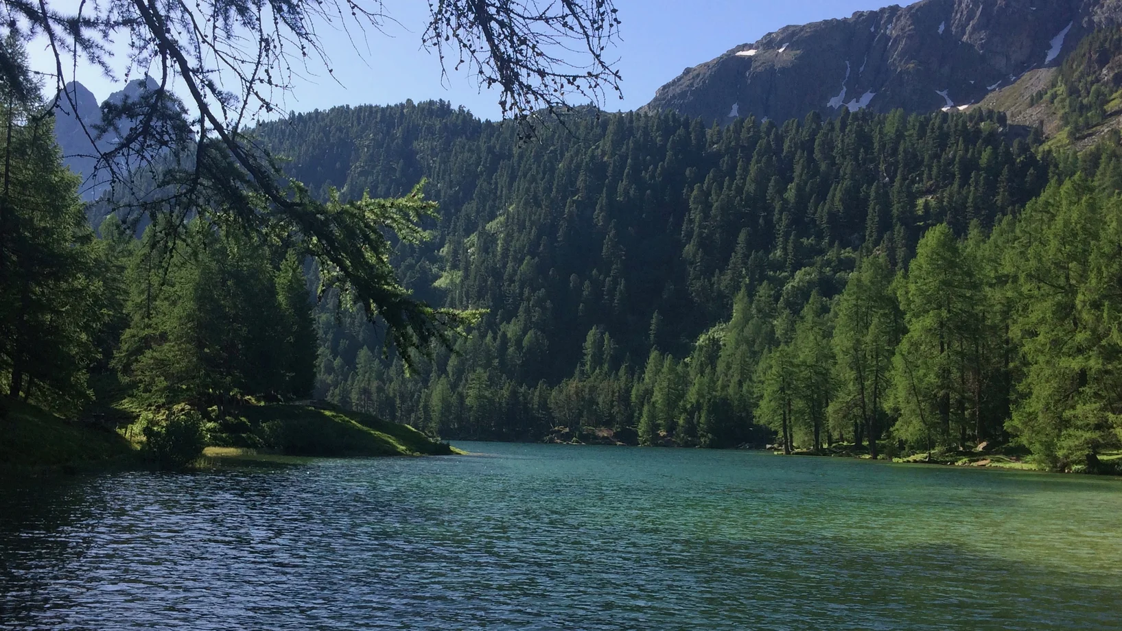 Palpuognasee am Albulapass mit Dschimels (Zwilllinge)