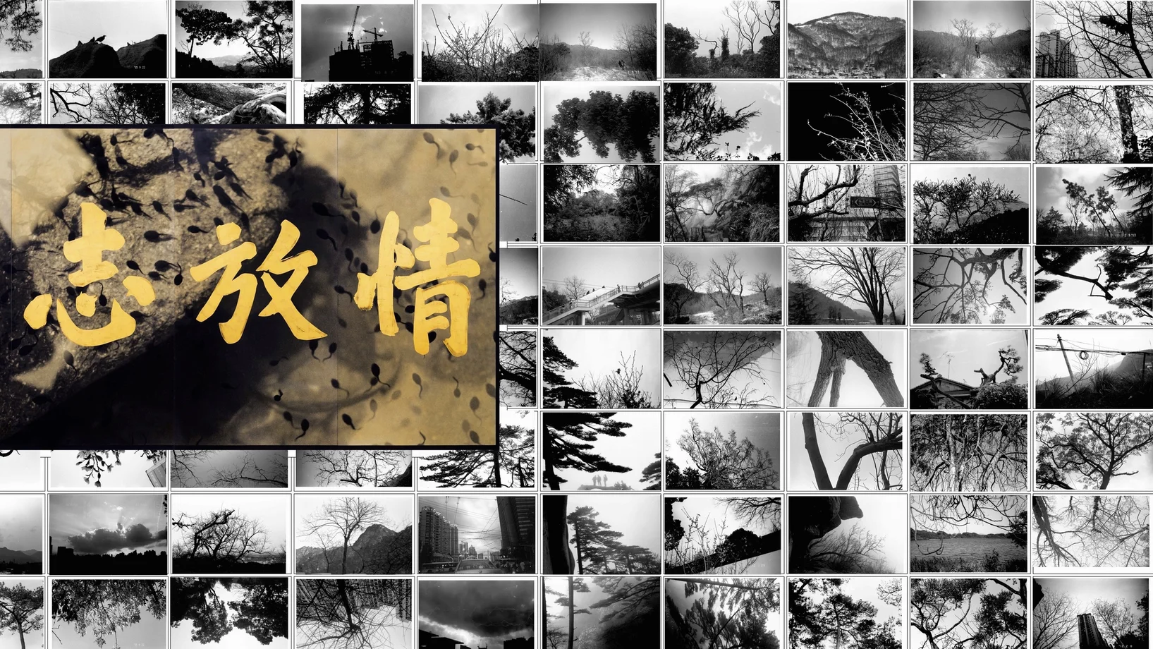 Birdhead: Passions Bloom Ambitions from vagina