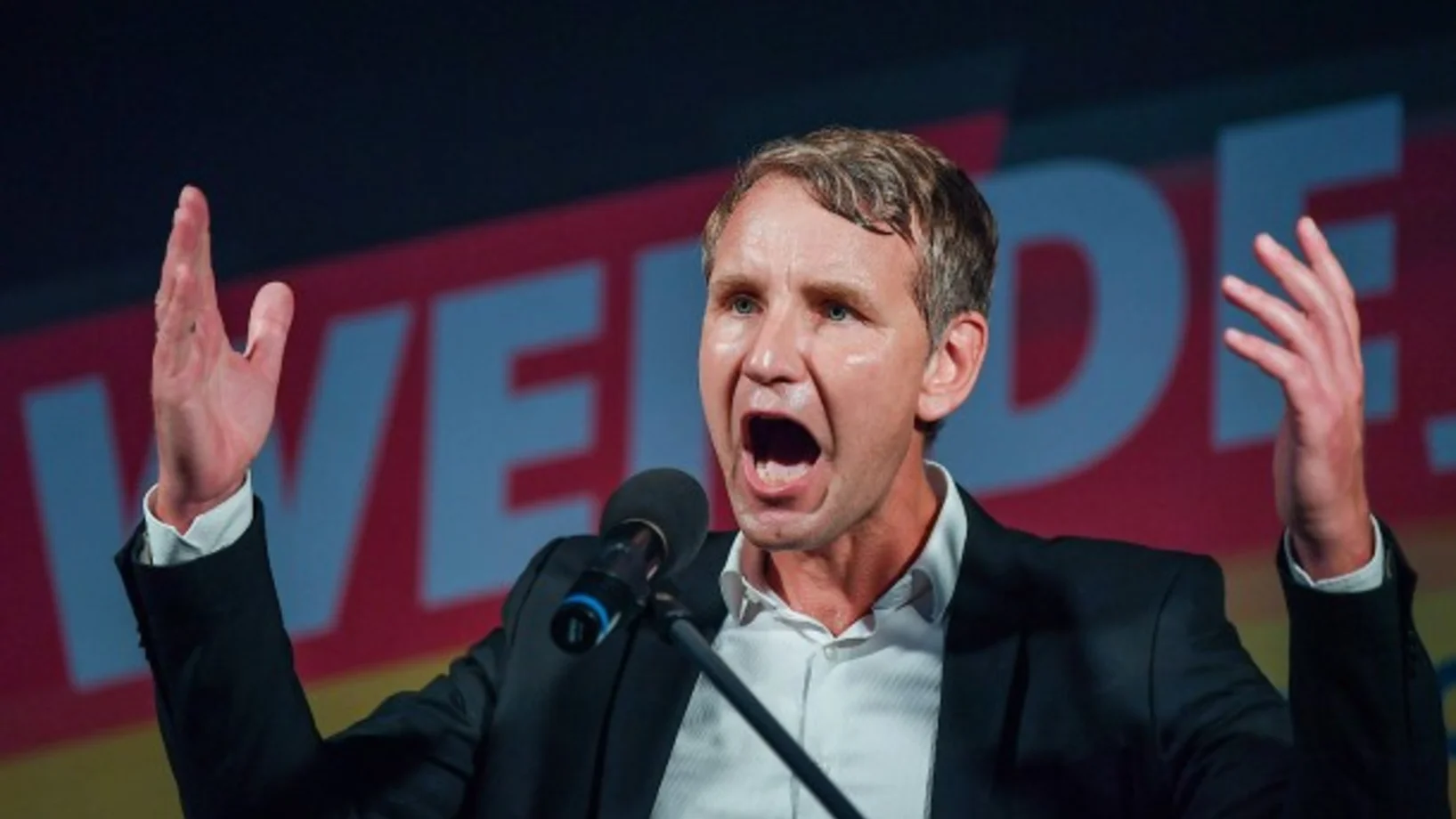 Bei weitem sind nicht alle Wähler und Mitglieder der AfD verkappte Alt- und Neu-Nazis. Aber Leute wie der thüringische AfD-Landesvorsitzende Björn Höcke ist einer. (Foto: Keystone/DPA/Patrick Pleul)