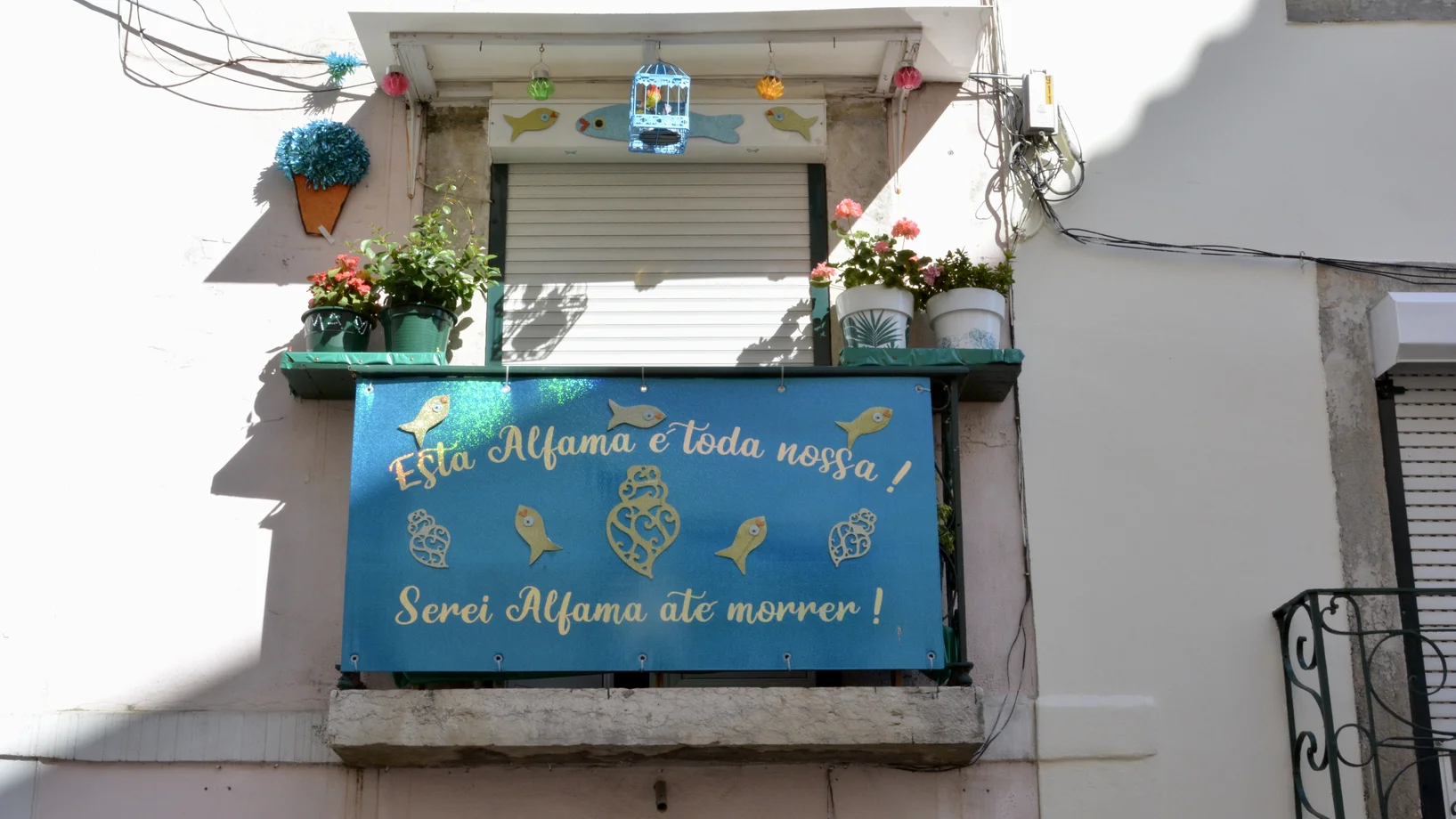 “Diese Alfama gehört ganz uns” 