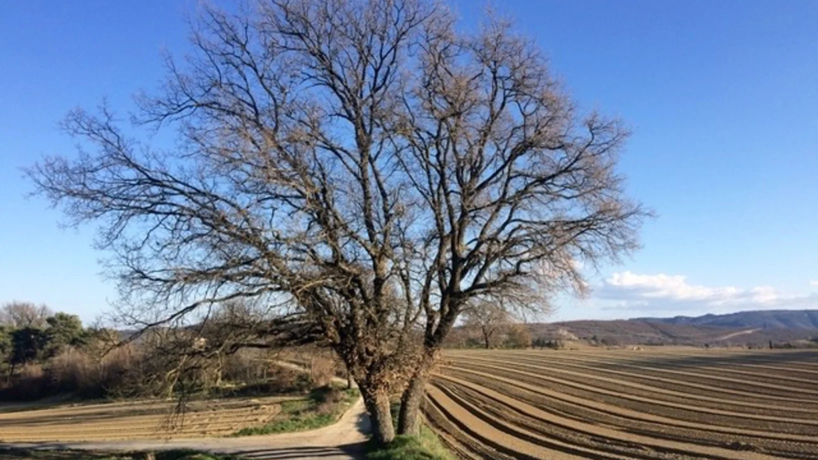 Vorfrühling in der Haute-Provence