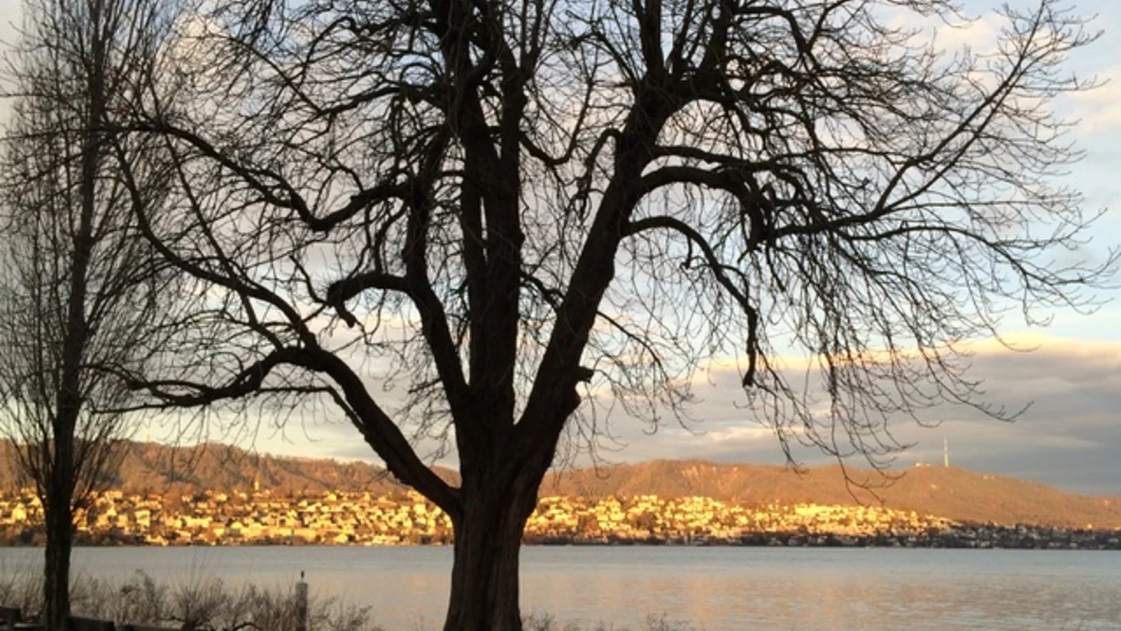 Blick von Küsnacht auf Uetliberg und Albis im Morgenlicht (Alle Fotos: © Dieter Imboden)