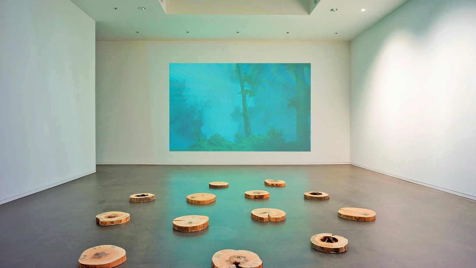 Die Bäume erinnern sich auch, 2014. Zerschossenes Holz (Vogesen, 1914-1918/1939-1945). Im Hintergrund: Ein Stück von Wald in den Wäldern, 2014 (Video). Installationsansicht in der Galerie C, Neuchâtel. © Courtesy Niklaus Manuel Güdel/Foto: Pierre Montavon

