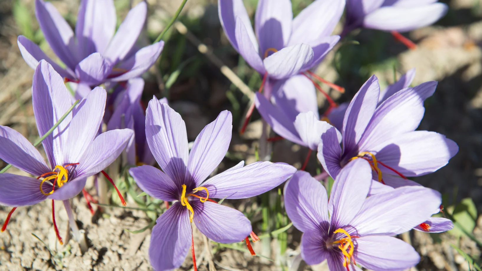 (Alle Fotos: Simone Gloor)