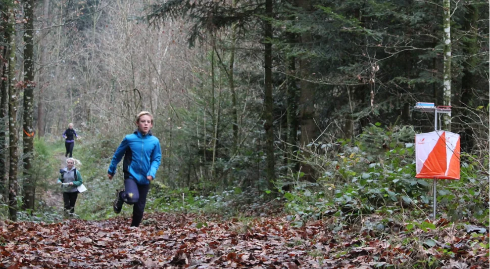 Orientierung im Wald 